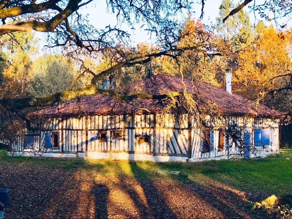 façade d'automne